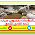آخر التعليمات بخصوص صرف زيادة الحد الادنى للأجور لكل الموظفين آخر التعليمات بخصوص صرف زيادة الحد الادنى للأجور لكل الموظفين
