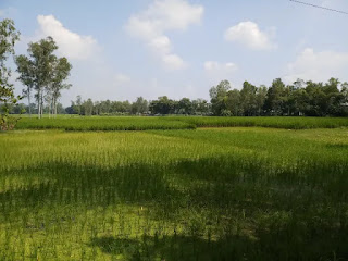 Pictures of fields Pictures of fields