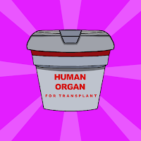 Find Human Organ Escape Walkthrough