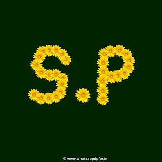 [125+ P Love Images] P Images Download (P Name Images) Letter P Images