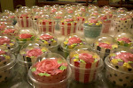 Cupcakes Dlm Dome Casing