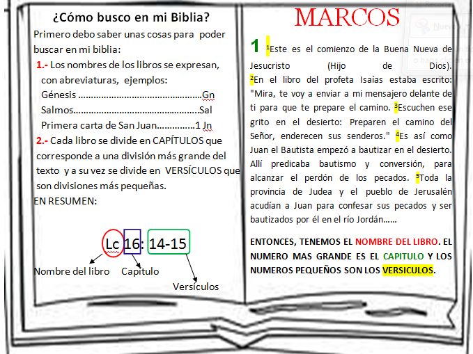 Todo Para Católicos La Biblia