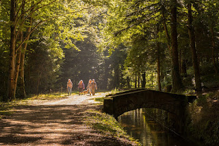 Canal du Midi