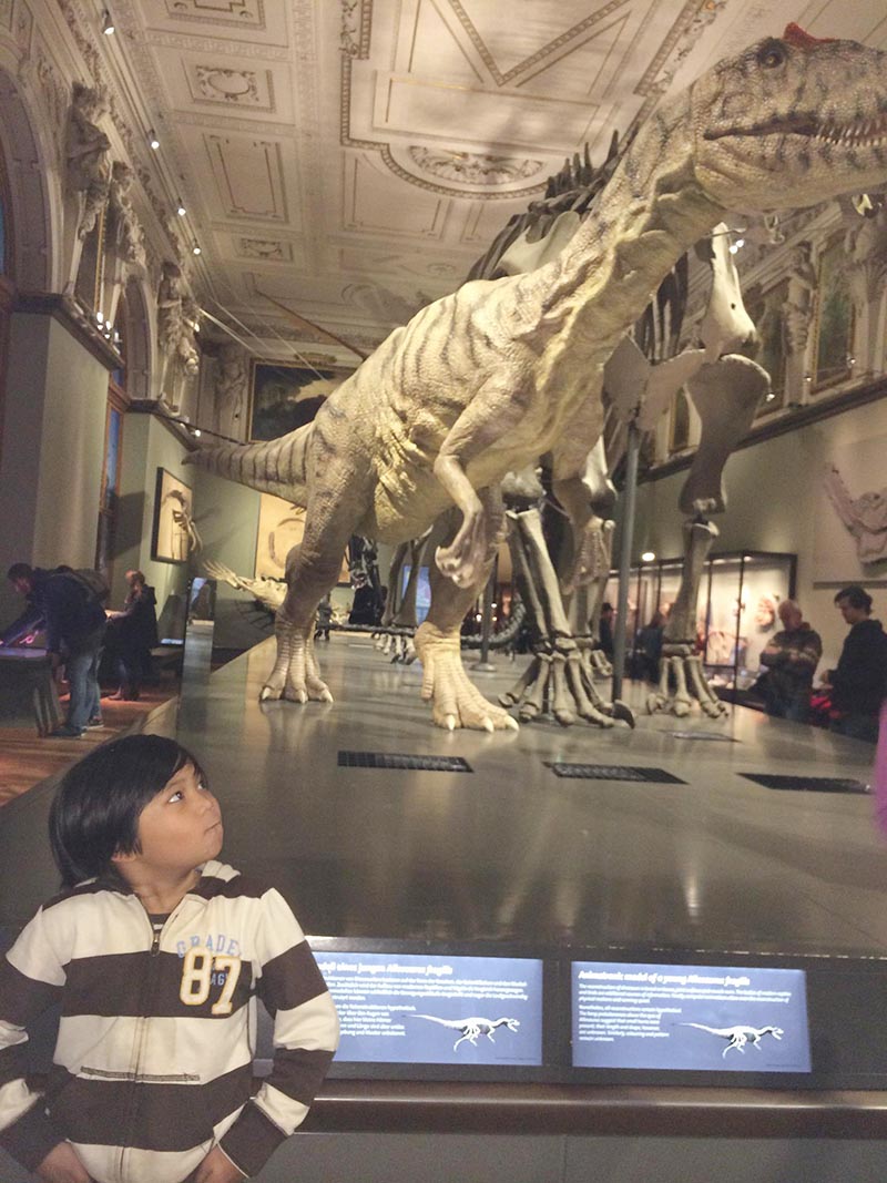 dinosaur at the museum