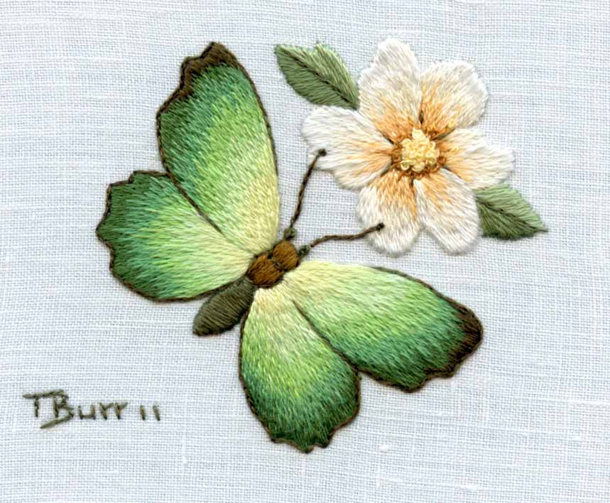 NEEDLE PAINTING EMBROIDERY_BUTTERFLY Blisse Design Studio