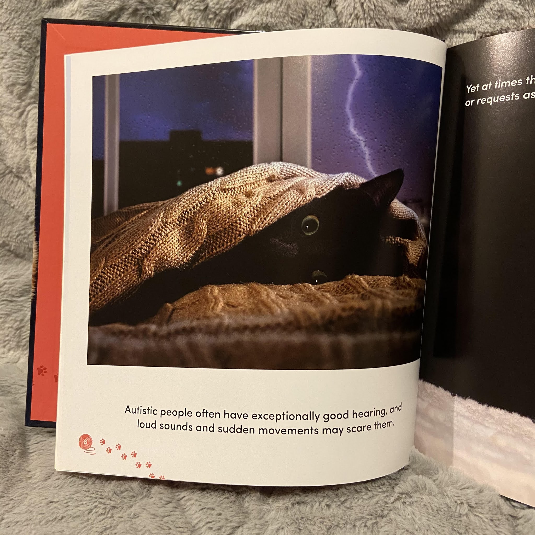 All Cats are on the Autism Spectrum {Book Review} Steph's Two Girls