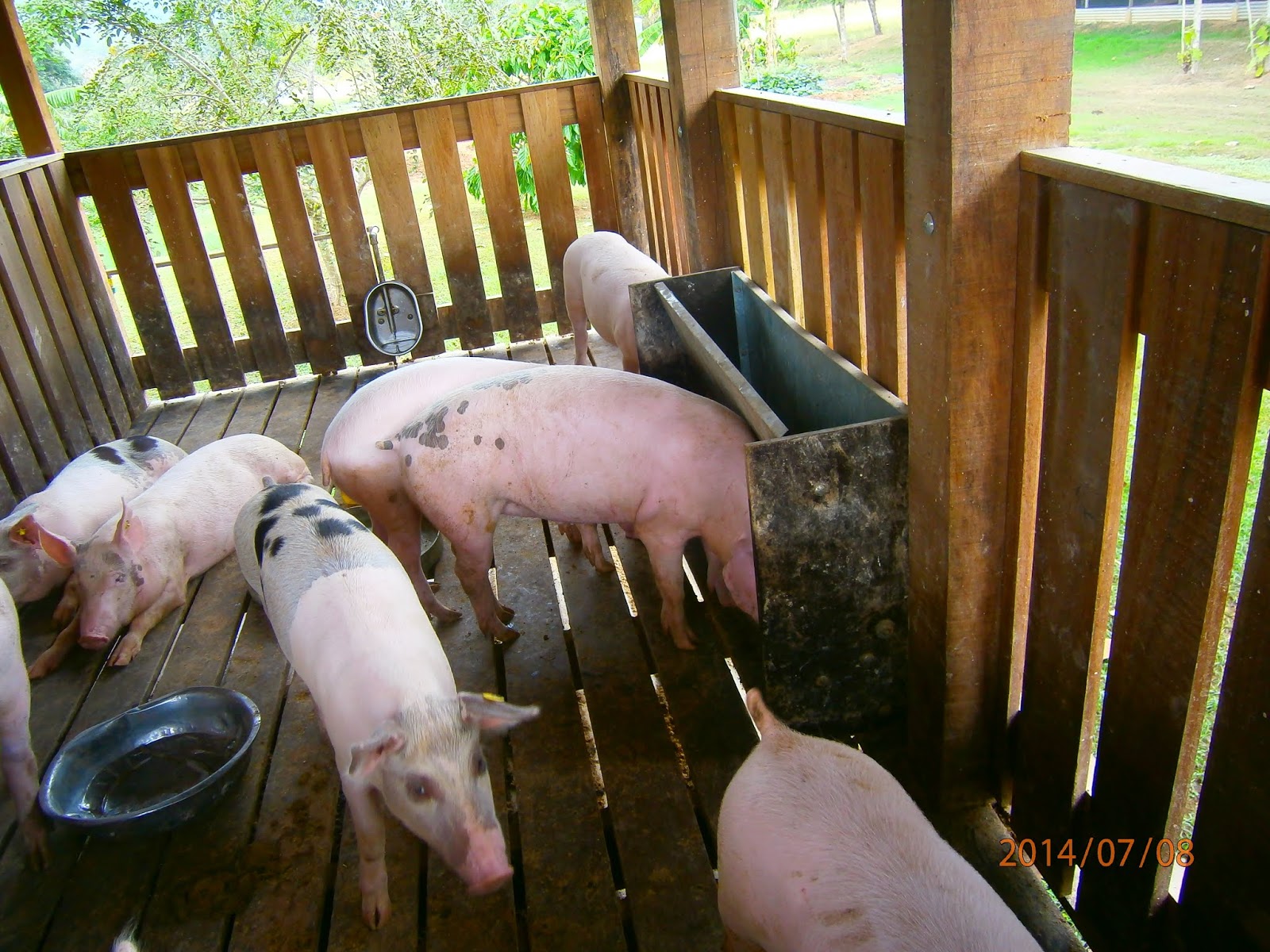 Peppa Pig Wooden House Outlet Offers, Save 59 jlcatj.gob.mx