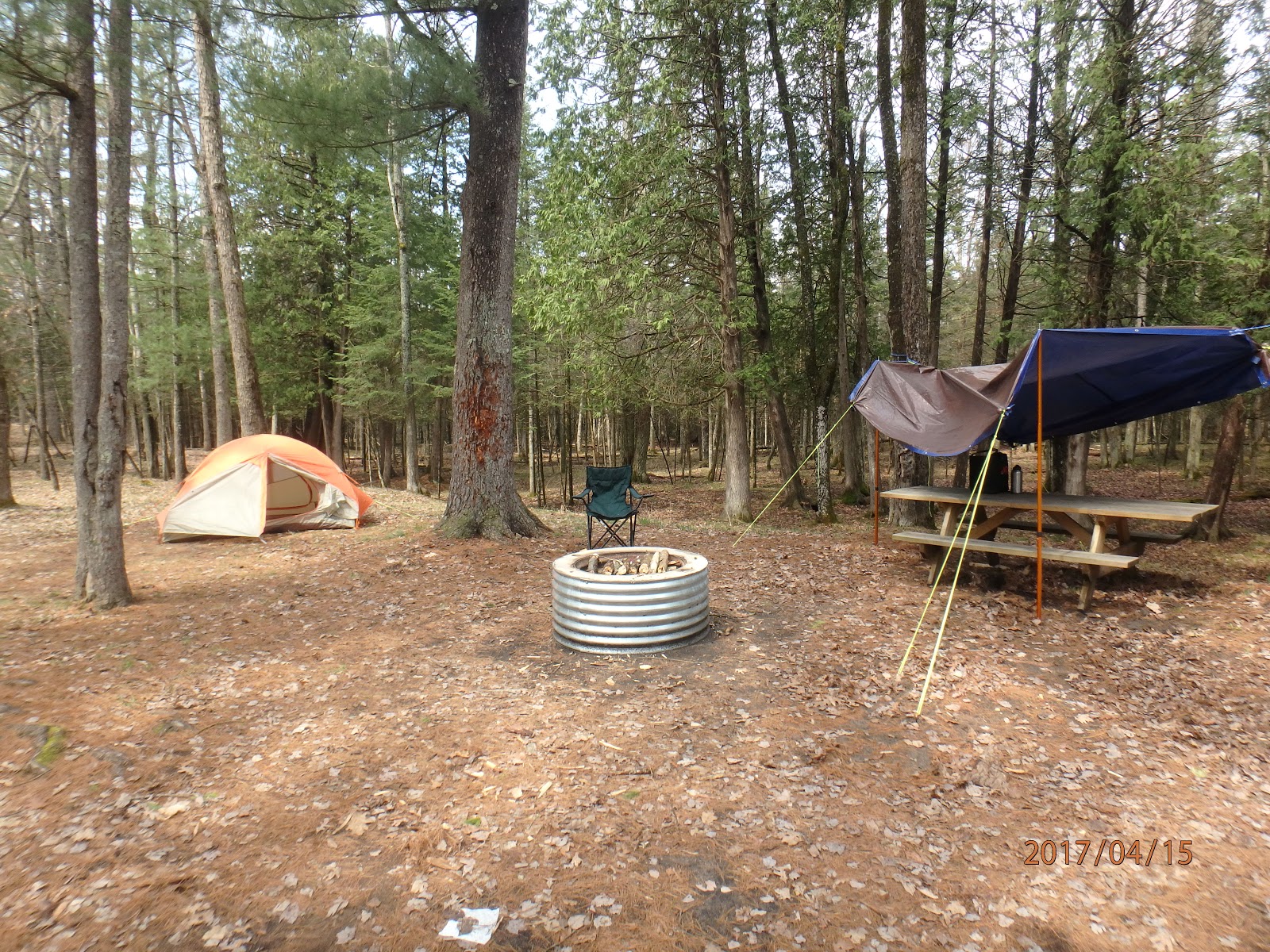 Amber Liquid Anglers and Sportsmen Boardman River, Forks Campground