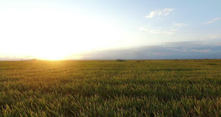जमीन खरेदी करताना घ्यावयाची काळजी,जमीन खरेदी करताना घ्यावयाची काळजी ii care before buying a land,जमीन खरेदी करतांना घ्यायची काळजी,जमीन खरेदी विक्री,#जमिन खरेदी करताना घ्यायची काळजी,जमीन खरेदी विक्रीचा,घर खरेदी करताना काय काळजी घ्यावी,जमीन खरेदी,जुने घर खरेदी करताना,प्लॉट खरेदी करताना घ्यावयाची काळजी,खरेदी,जमीन खरेदी करतांना लागणारी कागदपत्रे,शेतजमिन घेताना कोणती काळजी घ्याल,जमीन खरेदी करण्यापूर्वि,शेतजमीन खरेदी-विक्रीचा व्यवहार करताना घ्यावयाची काळजी.,रस्त्यासाठी जमीन खरेदी जमीन खरेदी करताना घ्यावयाची काळजी,जमीन खरेदी करताना घ्यावयाची काळजी ii care before buying a land,जमीन खरेदी करतांना घ्यायची काळजी,जमीन खरेदी विक्री,#जमिन खरेदी करताना घ्यायची काळजी,जमीन खरेदी विक्रीचा,घर खरेदी करताना काय काळजी घ्यावी,जमीन खरेदी,जुने घर खरेदी करताना,प्लॉट खरेदी करताना घ्यावयाची काळजी,खरेदी,जमीन खरेदी करतांना लागणारी कागदपत्रे,शेतजमिन घेताना कोणती काळजी घ्याल,जमीन खरेदी करण्यापूर्वि,शेतजमीन खरेदी-विक्रीचा व्यवहार करताना घ्यावयाची काळजी.,रस्त्यासाठी जमीन खरेदी