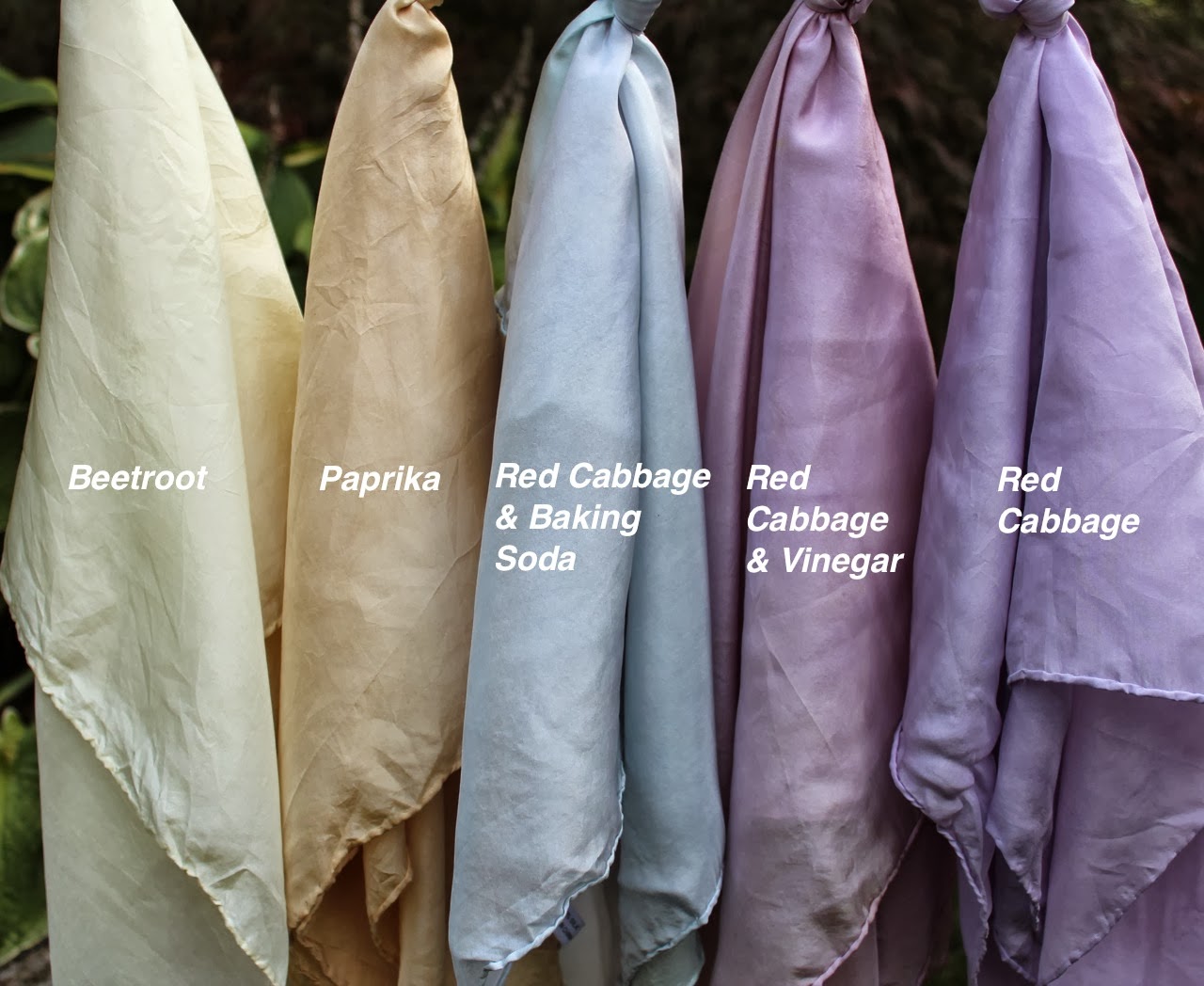 Rabbit: Home Silks: Dyes the Kitchen Cupboard