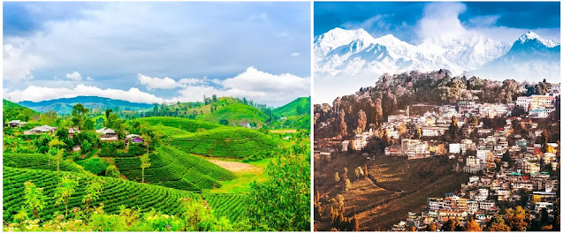 Darjeeling Travel Diaries