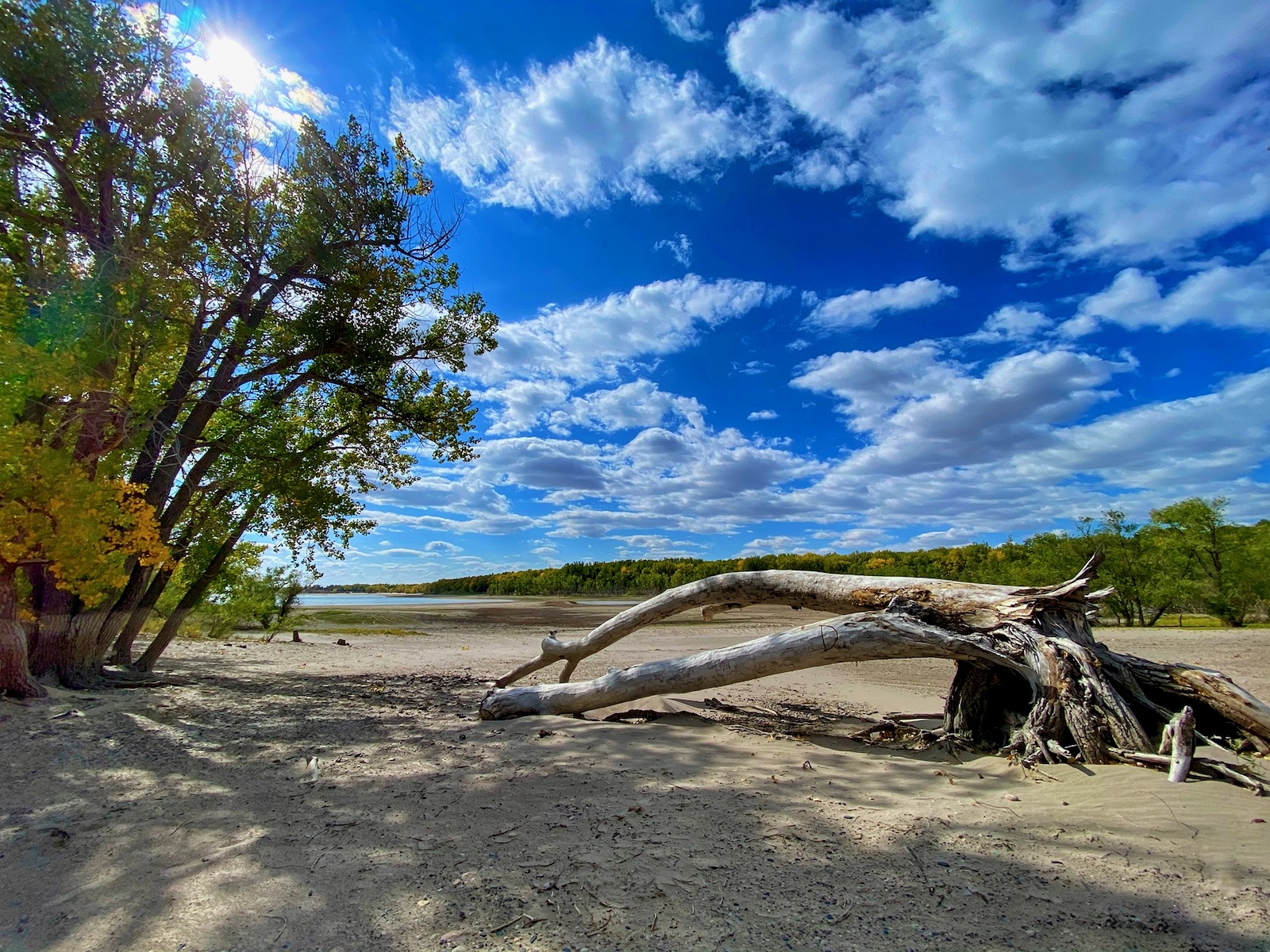 Lake Minatare Something Surprising