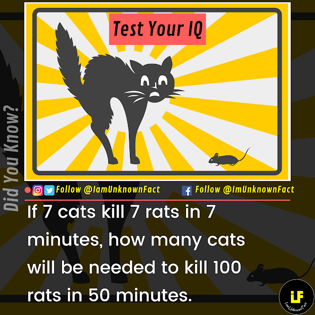 Test Your IQ How many cats will be needed to kill 100 rats in 50 minutes