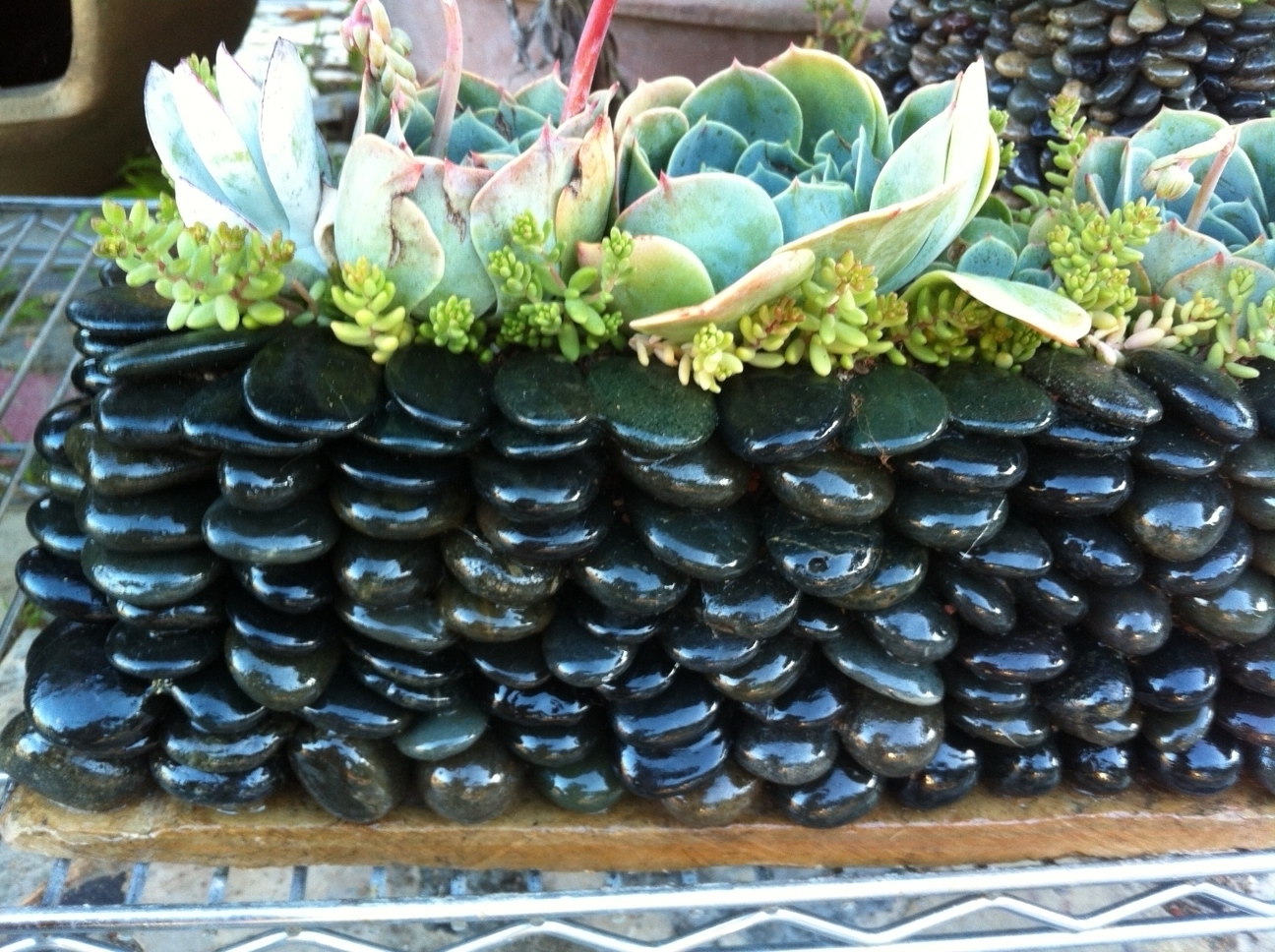 Edna's Rock Planters