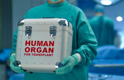 metamosxeusi_organwn.png