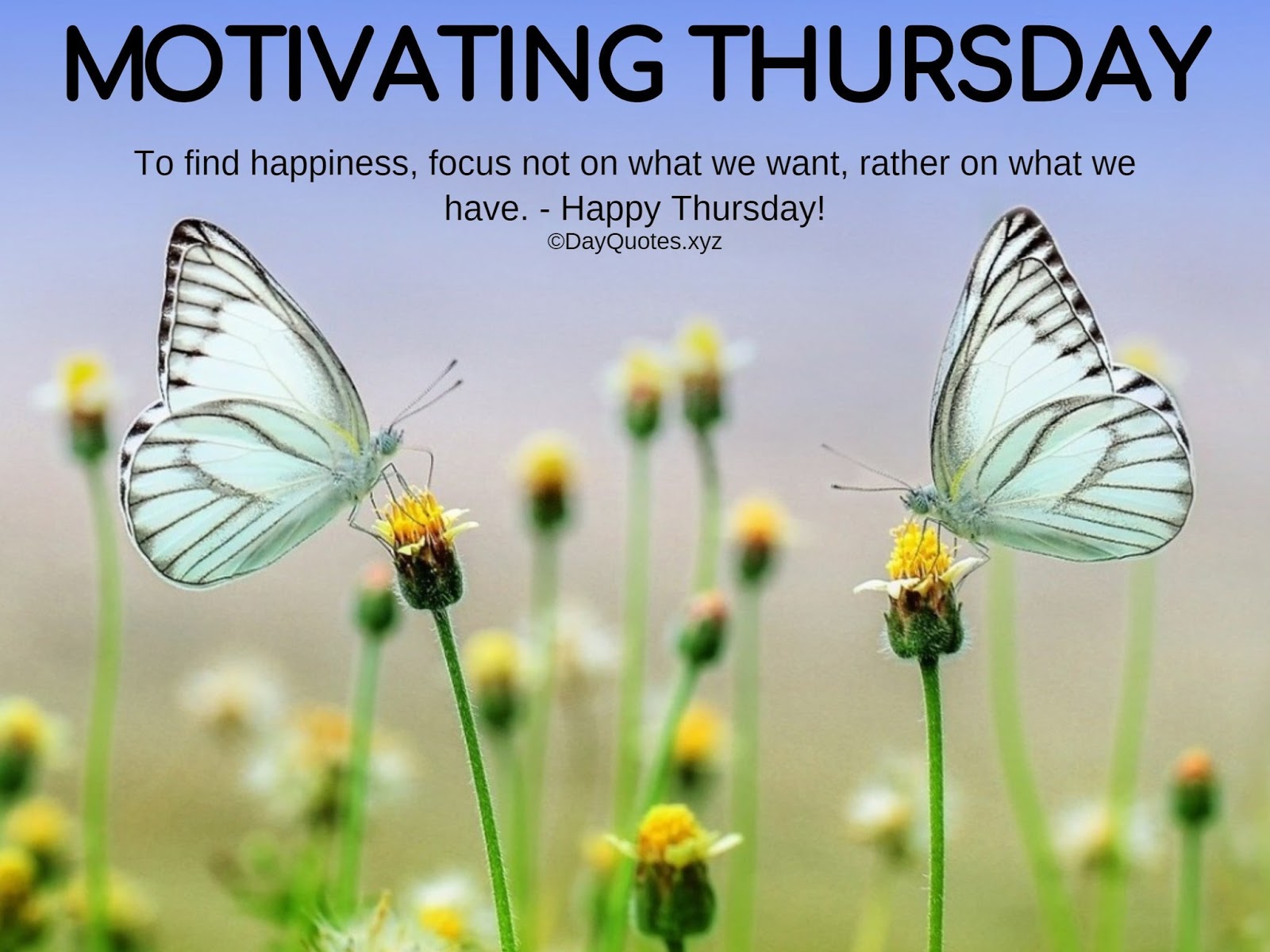 Motivational Thursday Quotes To Be Motivated & To Get Inspired Motivational Thursday Quotes To Be Motivated & To Get Inspired