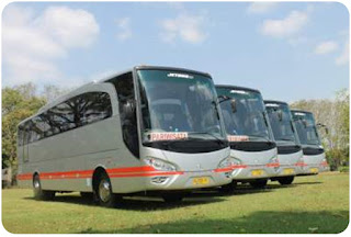 Bus Pariwisata White Horse sewa bus di Jakarta