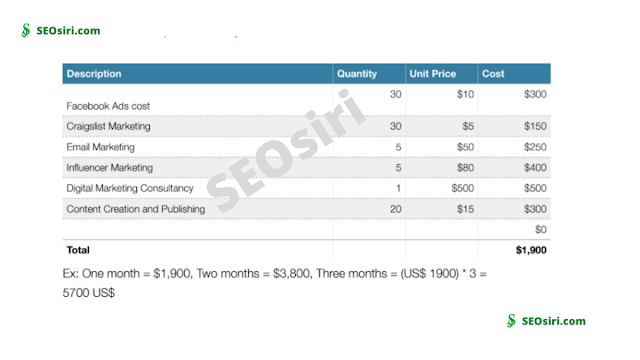 BUDGET: DIGITAL MARKETING CAMPAIGN FOR BUYER OUTREACH