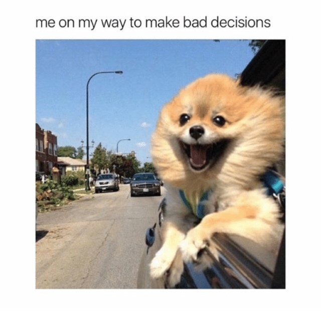 39 Funny Memes Pictures To Make You Happy