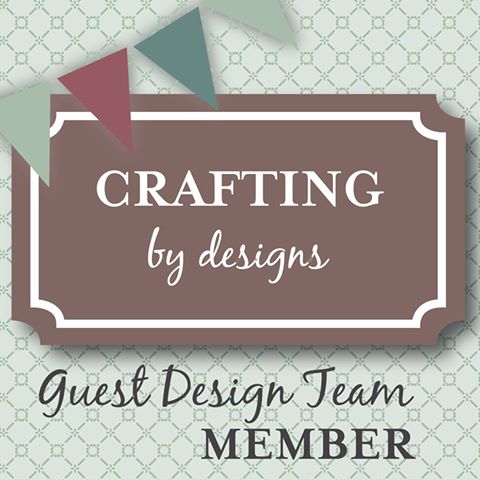 Guest Design Team Member