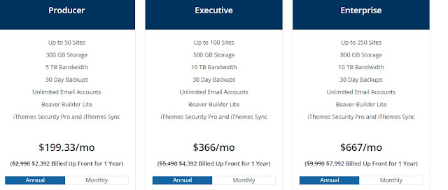 Top Enterprise plan of Liquid web