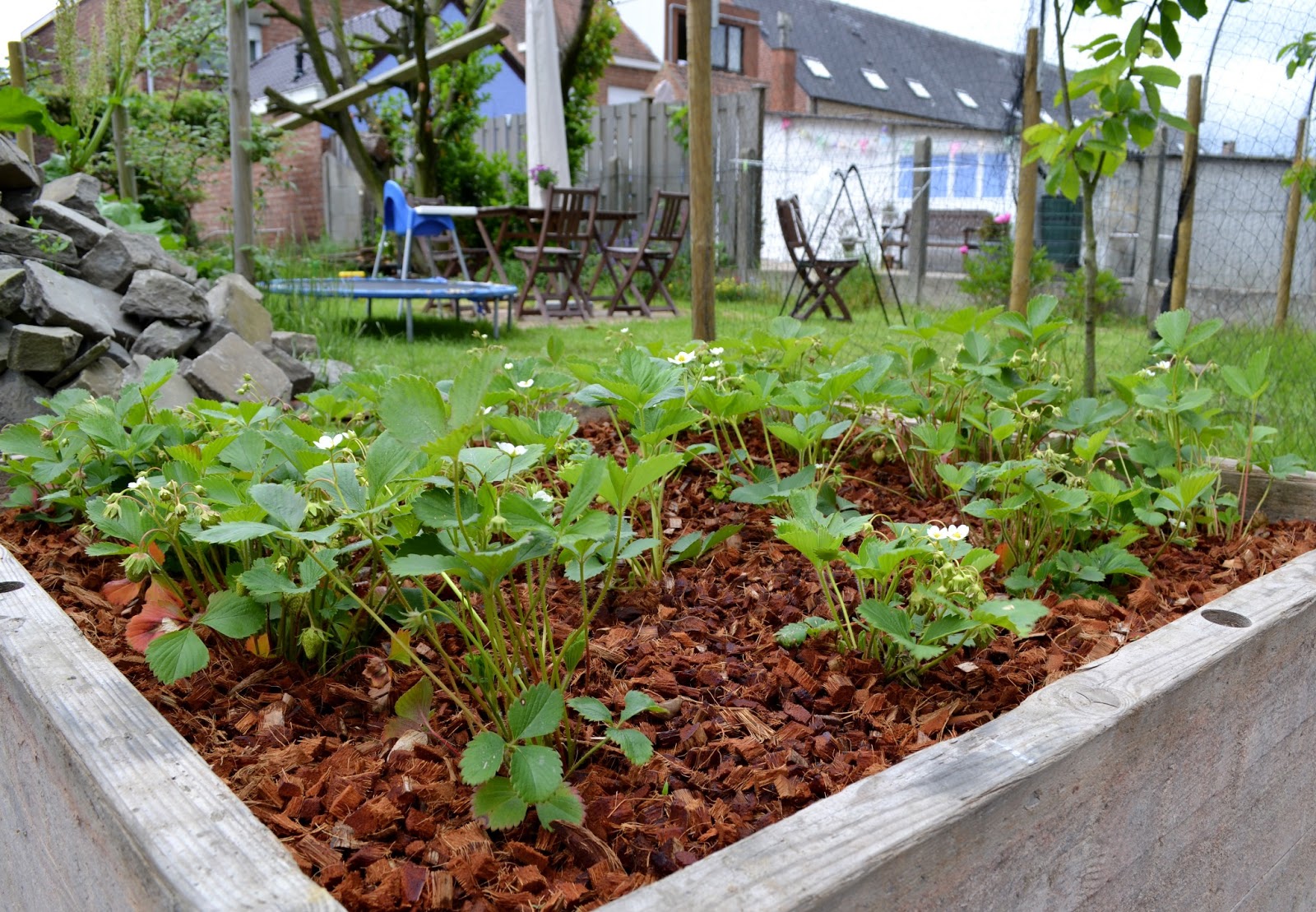 Ja Leggen Wordt erger De vierkante meter tuin