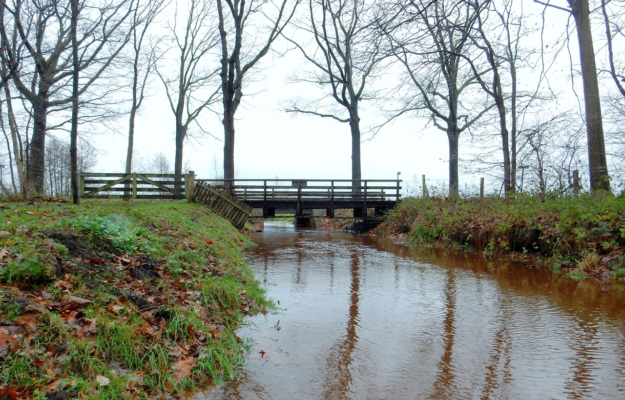Jozef van der Heijden - Natuurfotografie: Hoogwater in het beekje de ...