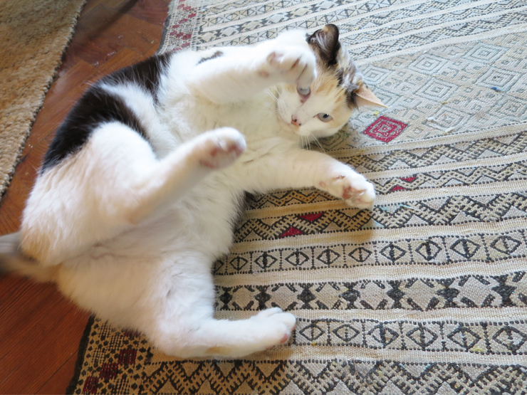 blog deco loversofmint