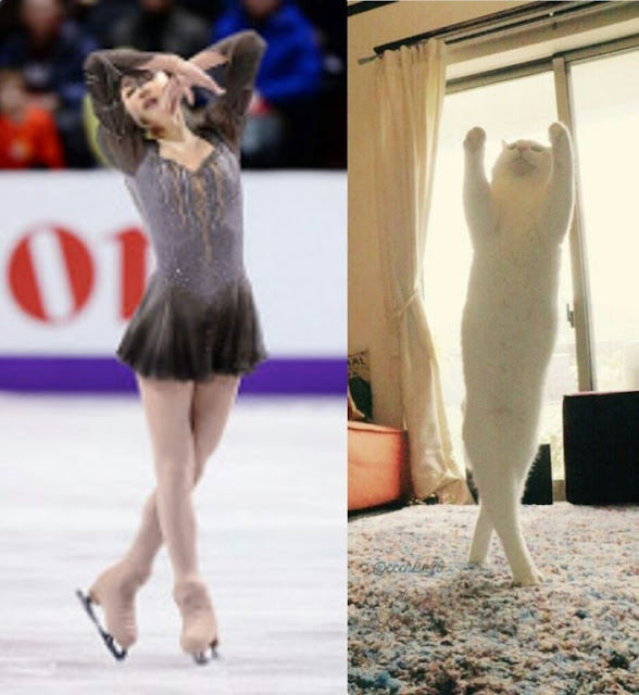 hdr_1486052610982%255B2%255D