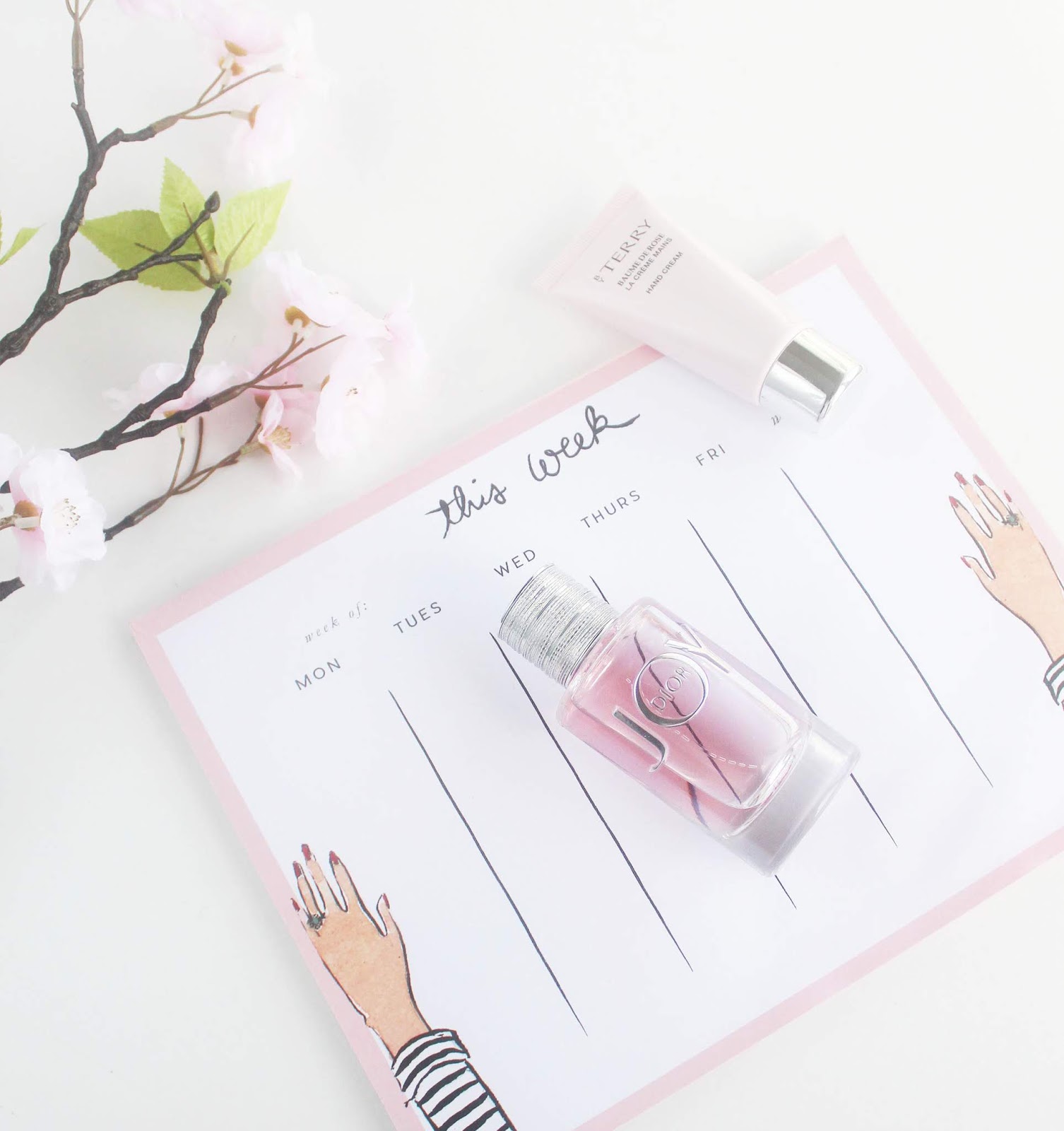 How To Draw A Whale 23 Whale Doodles For Bullet Journal