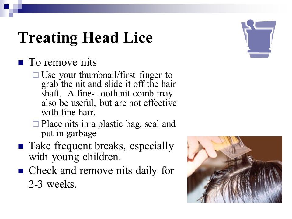 How Long Can Head Lice Live On Furniture Caraway Seeds Health Benefits