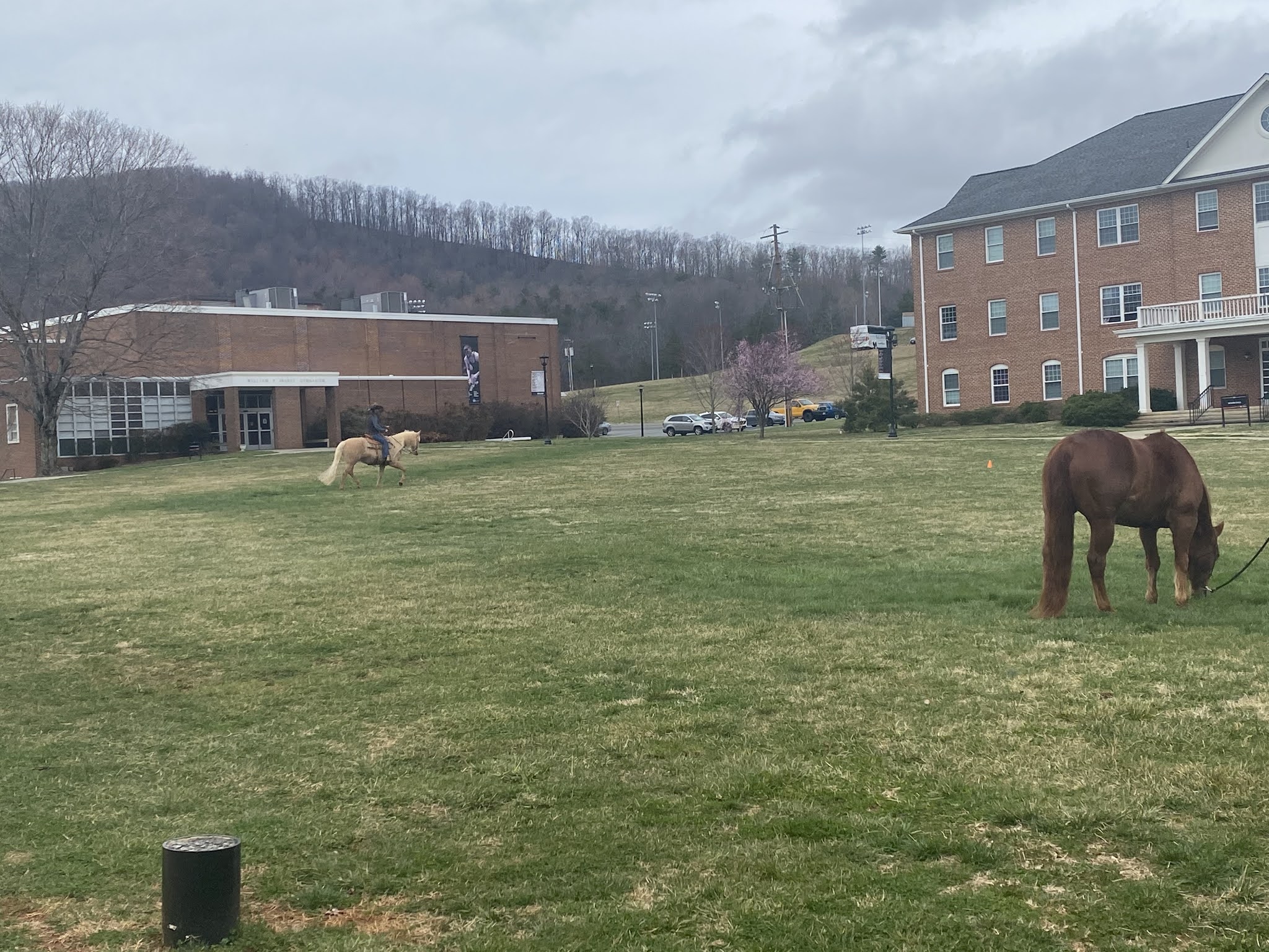 The Iron Blade Ferrum College Learned About Agriculture