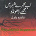 Ab Bharay Shehr May Mujay Dhondo Novel