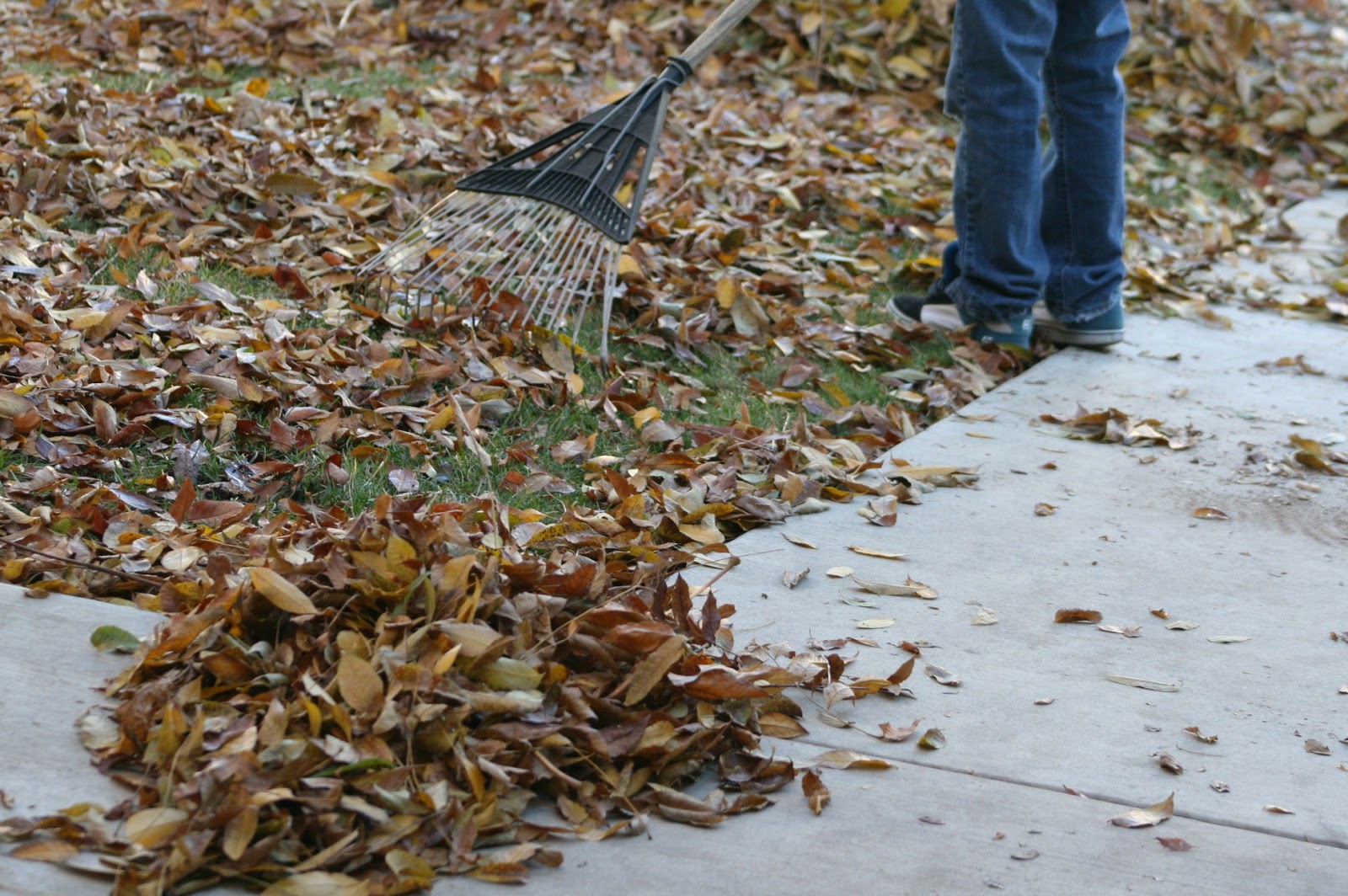 { Reflect... Raking Leaves in Winter