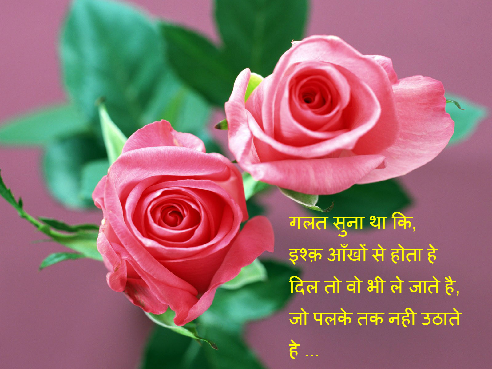 Love Hindi Shayari with images free
