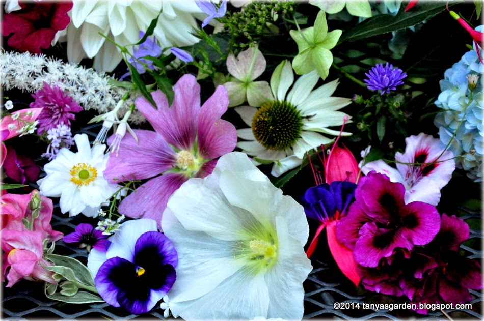 MySecretGarden Pacific NW (zone 8a) Flower Basket In September