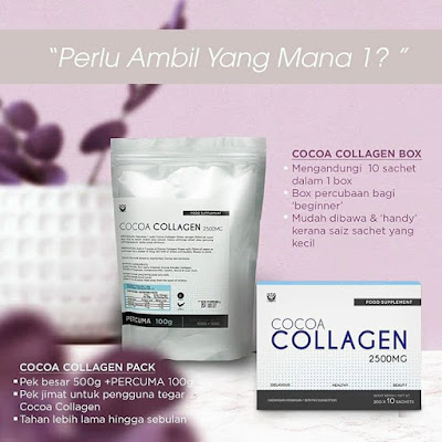 cocoa collagen sendayu tinggi 