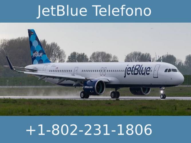 Jetblue En Español Telefono Numero