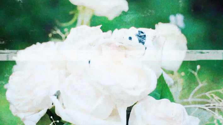 제대로 흑화하는 듯한 러블리즈 | 인스티즈