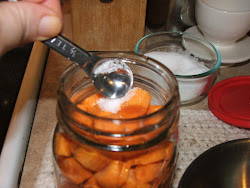 canning carrots half pint jars jar teaspoon salt each added without