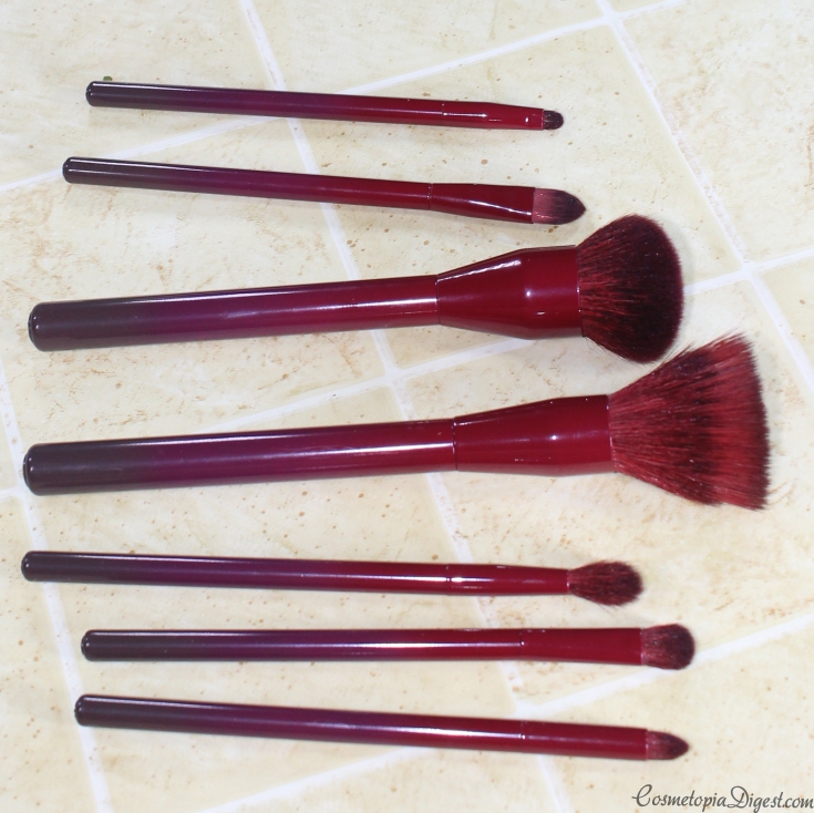 Check out the Sonia Kashuk Ombre Obsessed LE Makeup Brush Set for Fall 2015.