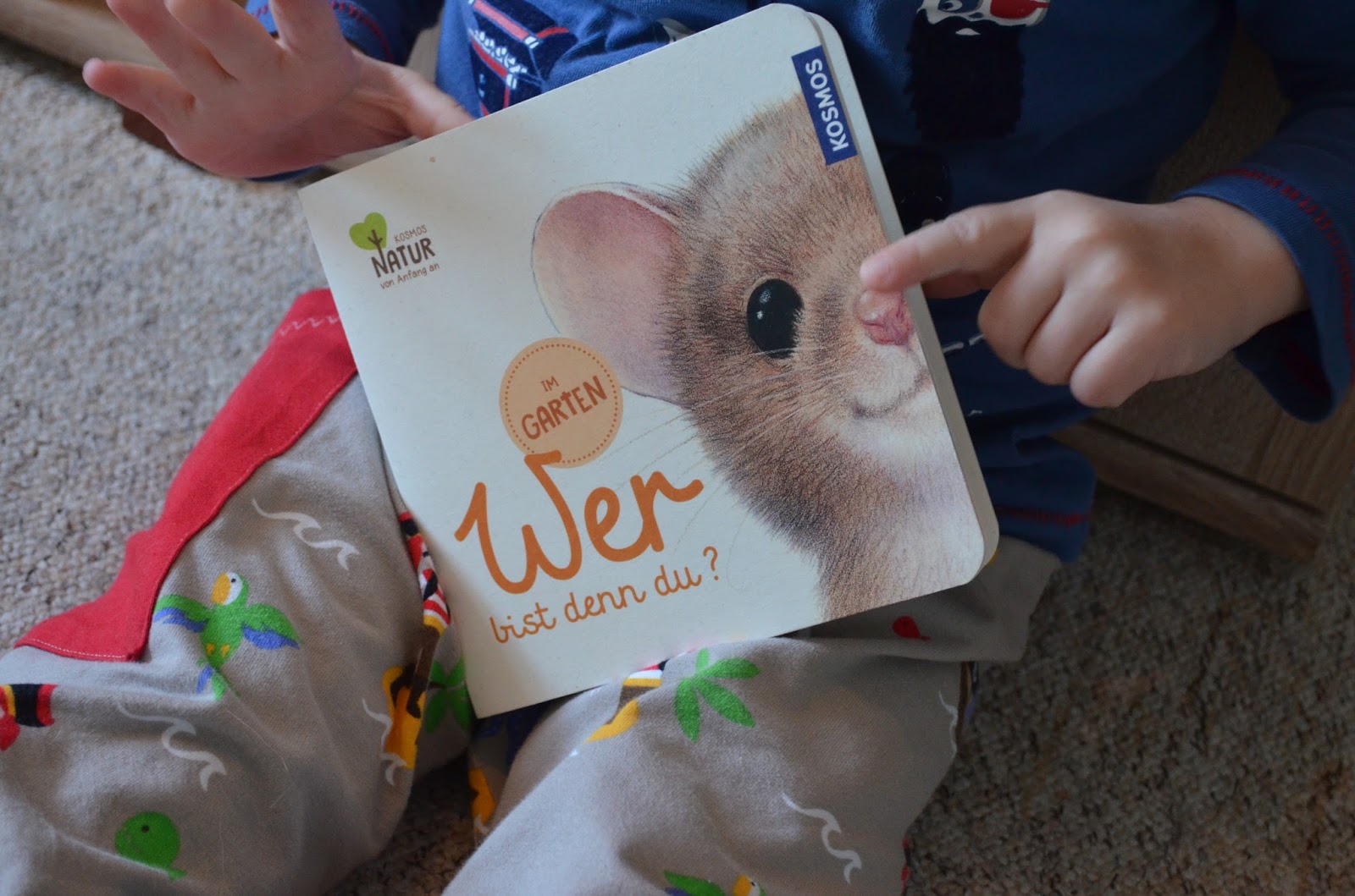 Mutter Kater Kind Kinderbuch Wer Bist Denn Du Im Garten