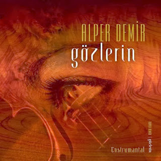 Alper Demir-Gozlerin