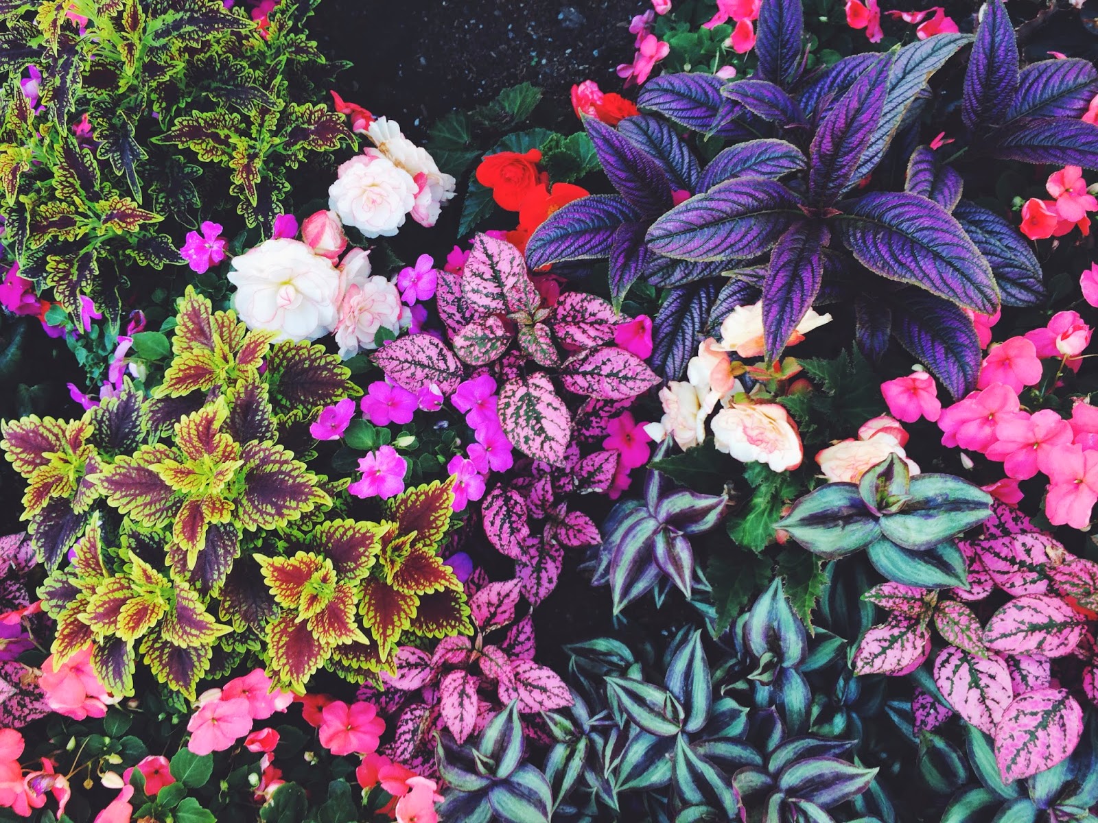 Generalized Loveliness ★ Waffle Love + Utah Adventures