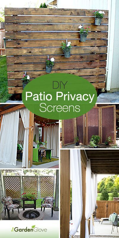 Garden Pretties & How-to ~ Gardening Stuff