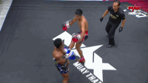 5.gif