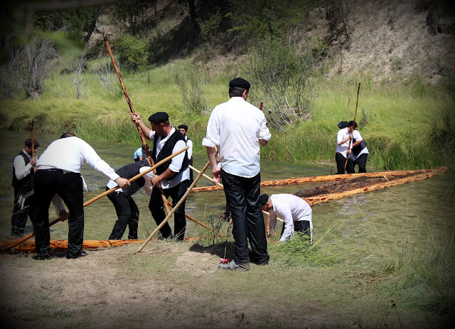 Gancheros sacando los troncos del Alto Tajo