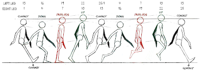 My Animation Experience: Animating a Walk Cycle