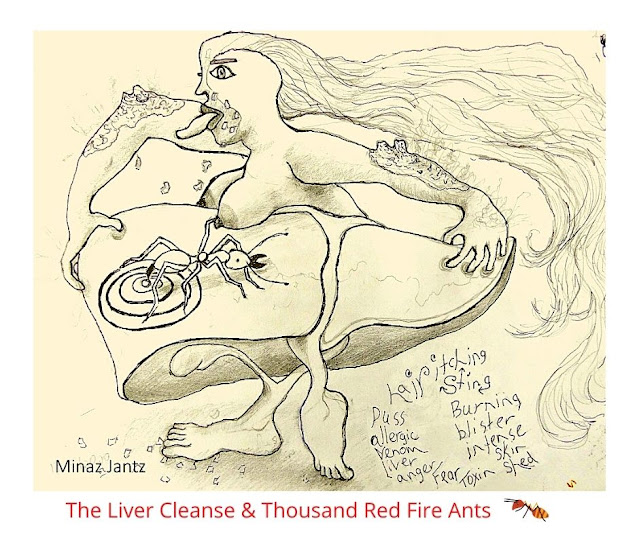 The Liver Cleanse & Thousand Red Fire Ants ~ drawing by Minaz Jantz