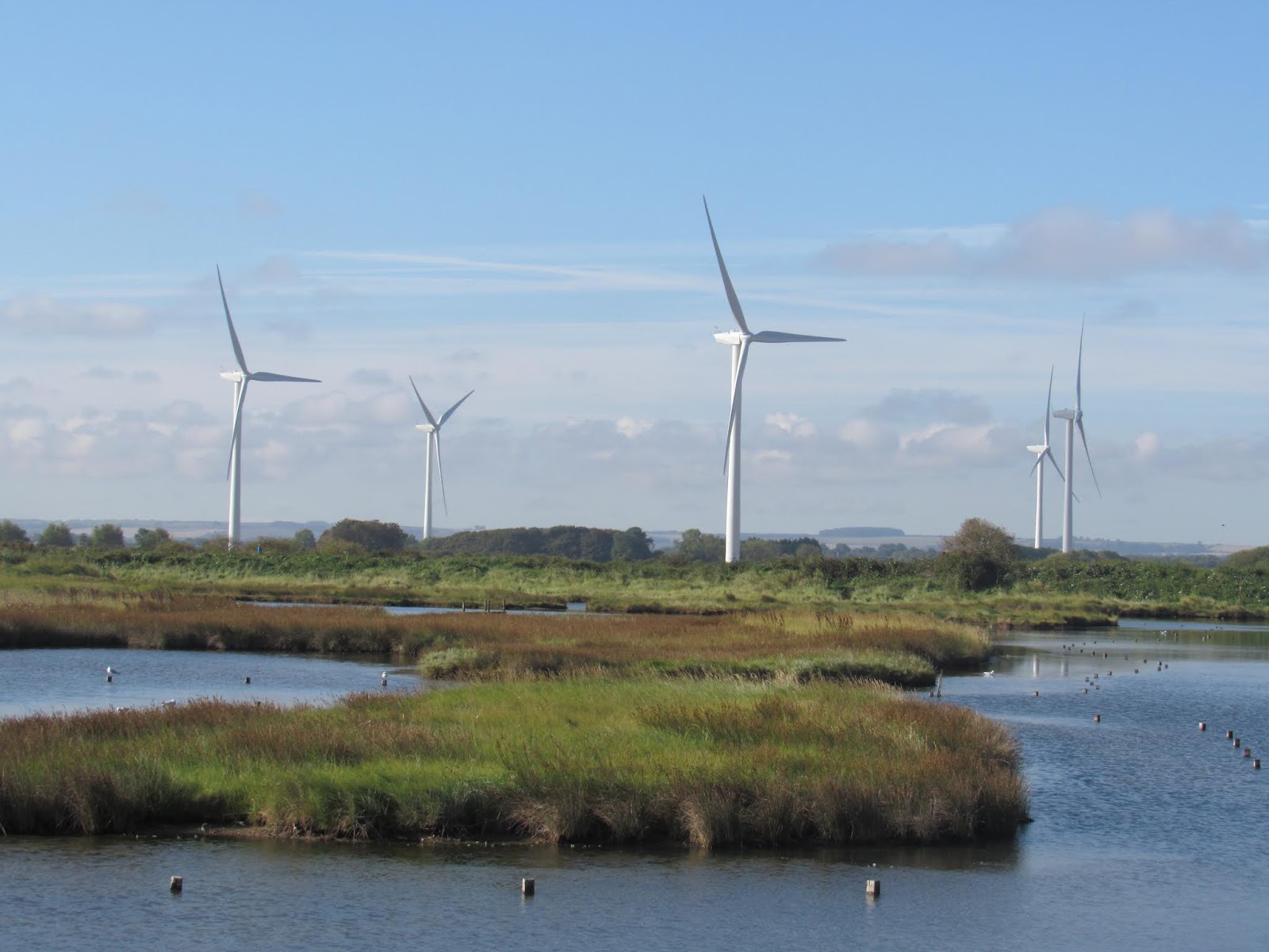 The Wryneck 15MINUTE TWITCH HUMBERSTON FITTIES POOLS, NEAR